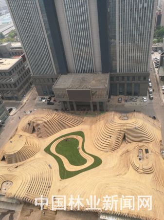 國(guó)內(nèi)最大城市竹制景觀(guān)工程竣工 自然與城市的完美融合